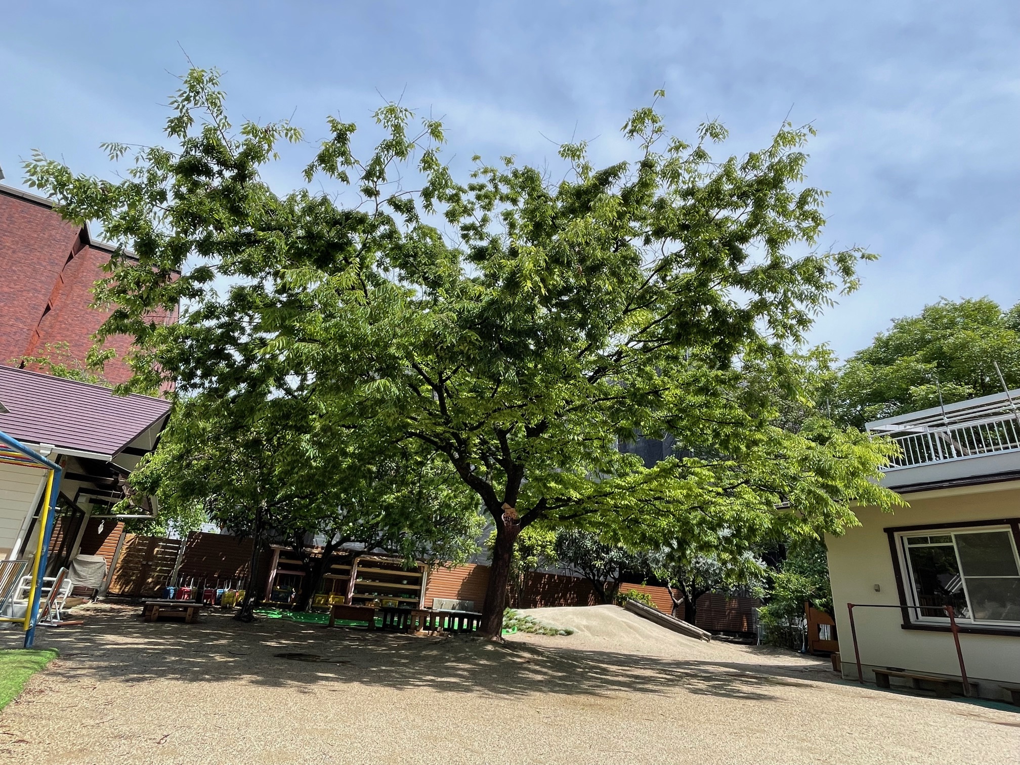 写真1